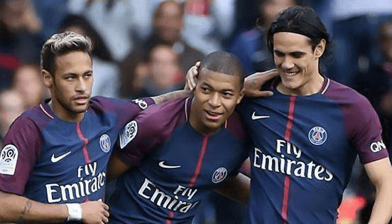 致敬，都柏林动物园将一只极度濒危的鹦鹉取名特洛伊-帕罗特